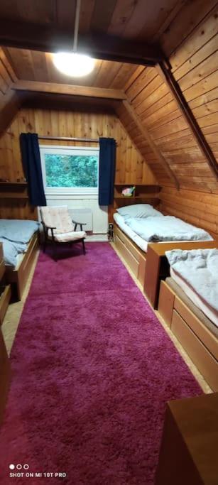 Chatky U Potoka Chatka N3 Olesnice v Orlickych horach Dış mekan fotoğraf