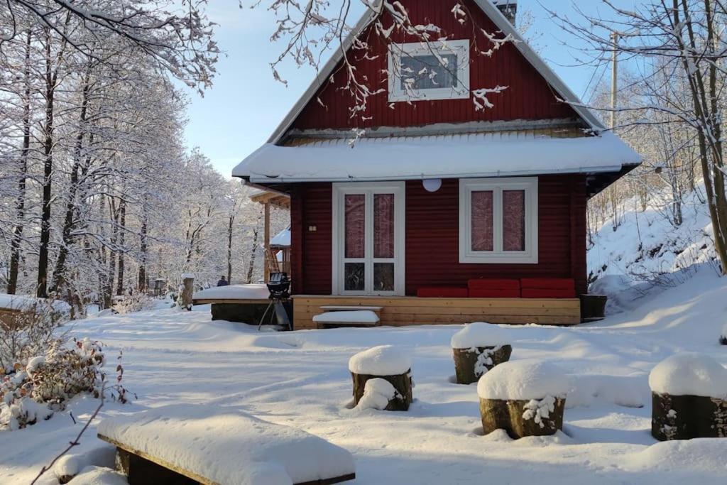 Chatky U Potoka Chatka N3 Olesnice v Orlickych horach Dış mekan fotoğraf